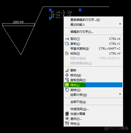 autoCAD2017 基础命令的使用_缩放_03